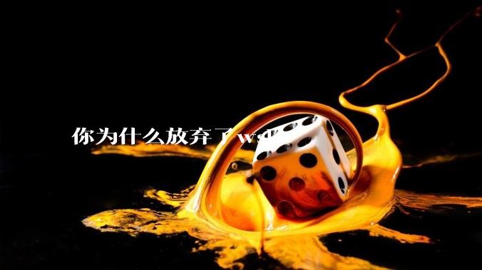 你为什么放弃了wsl？