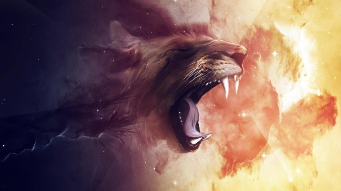 养了近十年的草龟要不要放生?